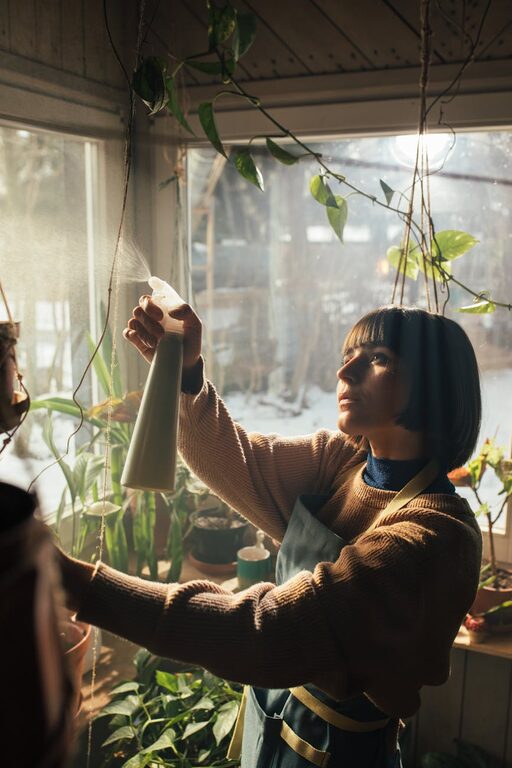 Jak správně pečovat o pokojové rostliny během zimních měsíců